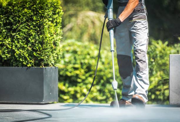 Best Spring Cleaning  in Vine Hill, CA