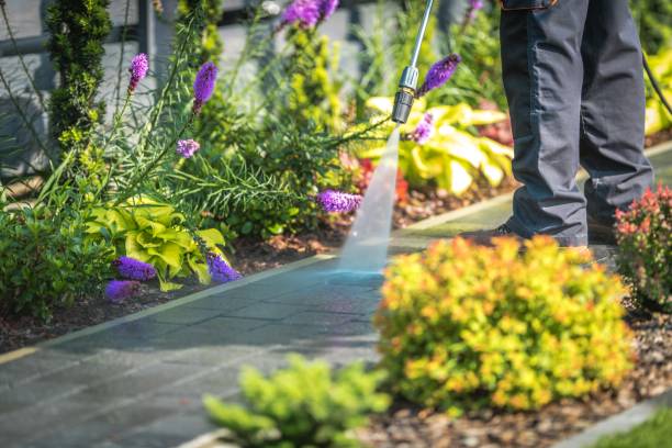 Best Pre-Holiday Cleaning  in Vine Hill, CA